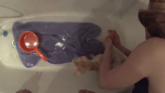 Как мы мыли Бани. I washed the cat смотреть онлайн