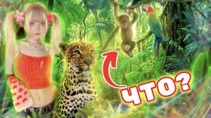 Песенка Красной Шапочки из кинофильма «Про Красную Шапочку»⎟Кристина Ашмарина