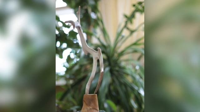 Алексей Чунанчар, мастер Таймырского Дома народного творчества. смотреть онлайн