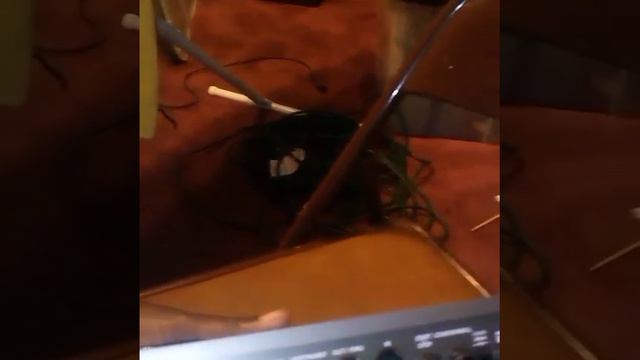 ALESIS SR-18 TUTORIAL смотреть онлайн