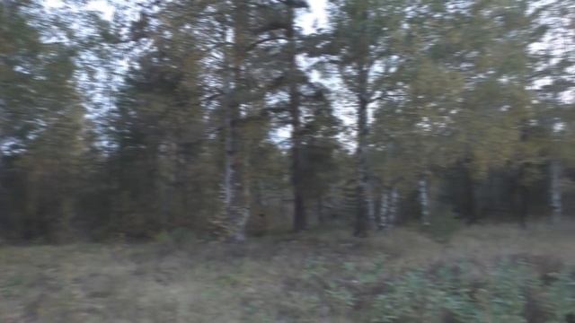 Осень на озере Балтым смотреть онлайн