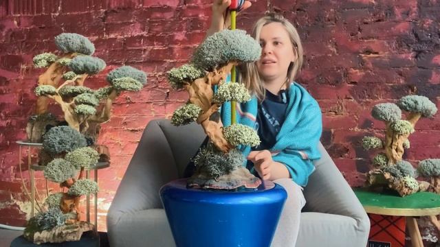 БЕССТЫДНИЦА - традиционный обзор смотреть онлайн