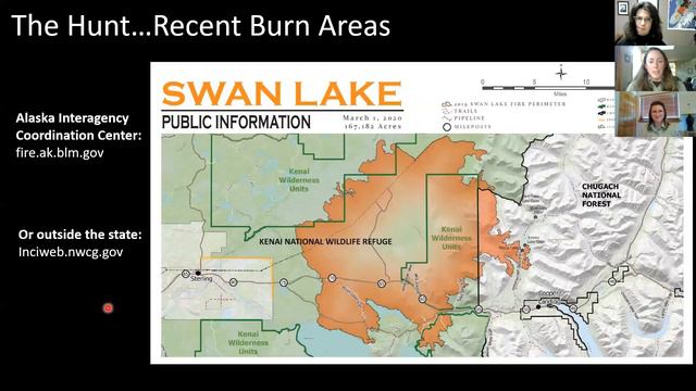 5/12/20 Morel Mushroom Hunting After Swan Lake Fire смотреть онлайн