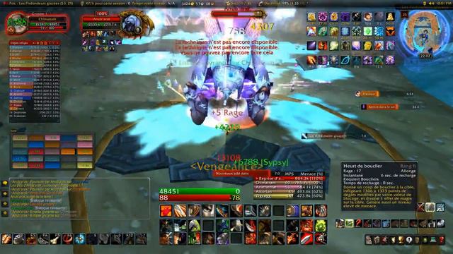 WOW Anub'Arak raid 25 guilde Sine Nomine смотреть онлайн