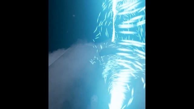 HTC Vive | vrAMP Virtual Dance Floor Crazy FX смотреть онлайн