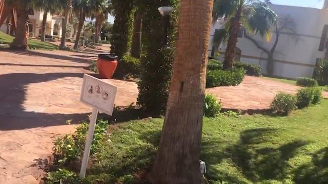 Otium Park Amphoras Blu - БЫСТРЫЙ ОБЗОР! ЕГИПЕТ!