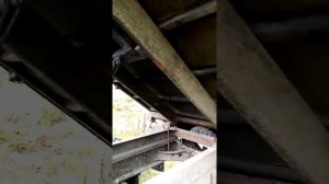 зил 131 дизельный самосвал