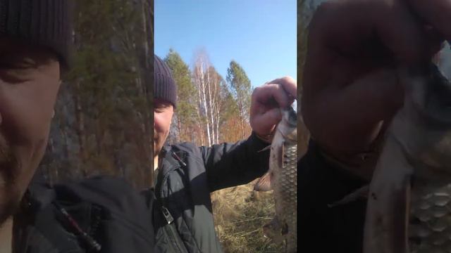 Рыбалка на речушке. После схода льда. смотреть онлайн