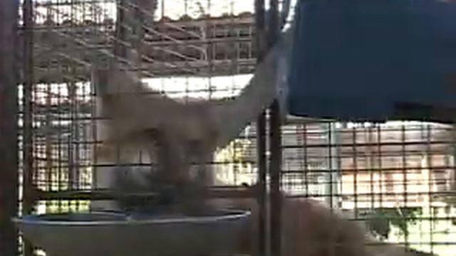 Выработка навыка фокусировки взгляда смотреть онлайн