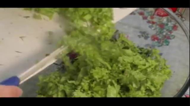 Салат из фасоли БЫСТРО ВКУСНО И НЕДОРОГО!/Вкусные рецепты простых салатов/Salad смотреть онлайн