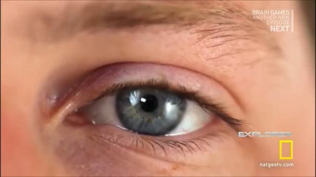 Brain Games- Perspective Cues, Linear Perspective, and Size Contrast смотреть онлайн