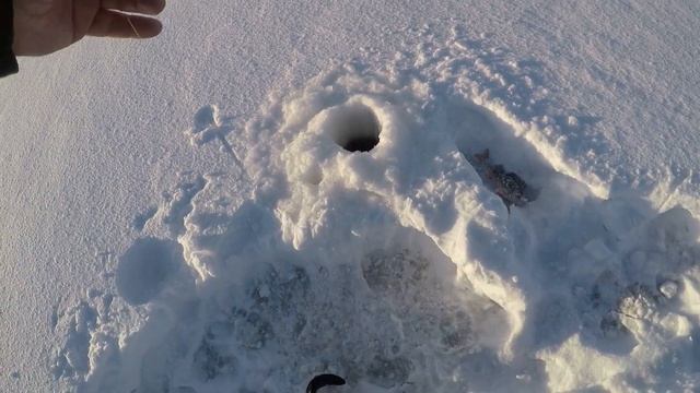 Открыл зимнюю рыбалку на кумжу в 2023. смотреть онлайн