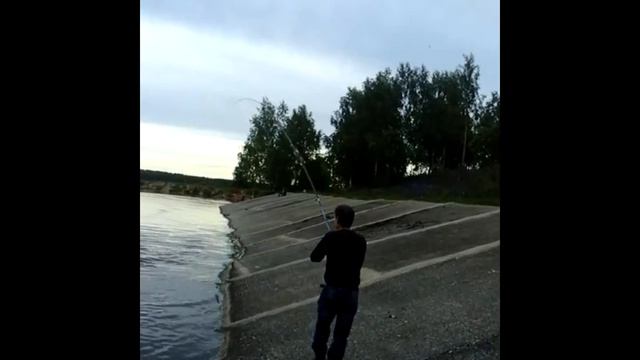 Игорян достаёт Толстого. смотреть онлайн