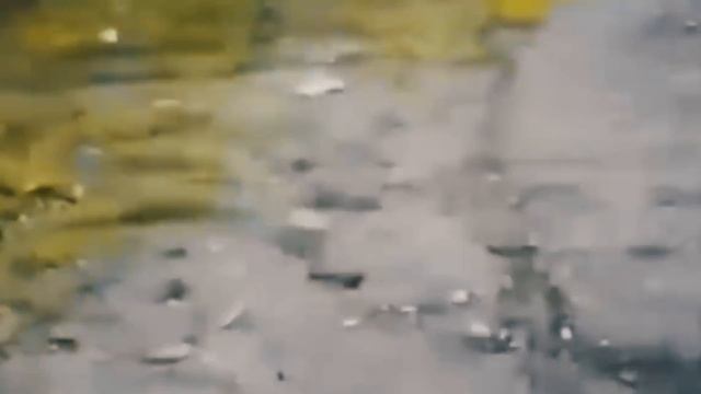 5 МУТАНТОВ ИЗ ЧЕРНОБЫЛЯ СНЯТЫХ НА КАМЕРУ смотреть онлайн