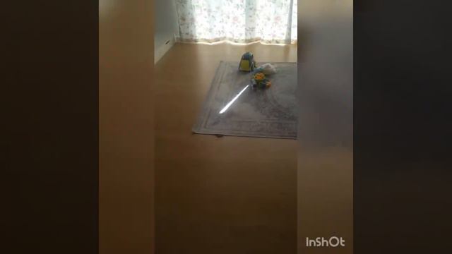 Родителей нет дома