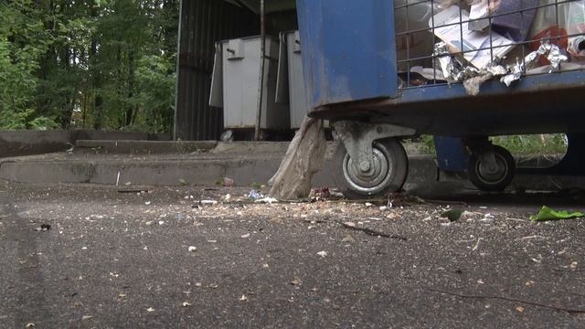 Кто отвечает за порядок в городе? смотреть онлайн