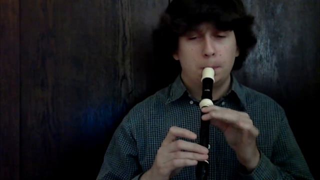 9 Crimes (cover) - soprano recorder смотреть онлайн