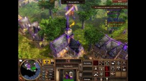 Age of Empires 3 - Вспоминаем как играть. Часть 1
