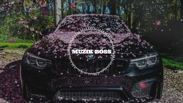 Edmofo & Camelia Gordana - DOUDOU (slow remix) смотреть онлайн