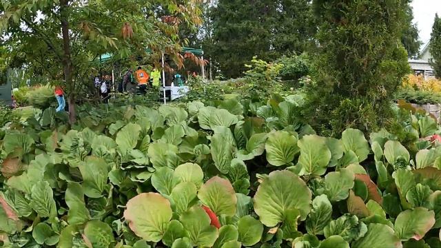 Seppälän Maalaismarkkinat 10.9.2022 Kajaani - Kainuu смотреть онлайн