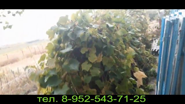 Стяжка домов Рамонский район. Стяжка дома один верхний пояс, усиленный.