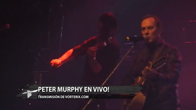 Peter Murphy - Strange Kind of Love Live смотреть онлайн