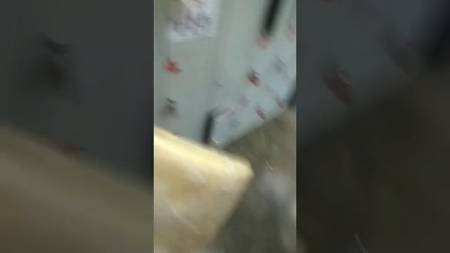 Магазин "Светофор" г Ясный Оренбургской области. 22.июня2020 не хотят списывать тухлый сыр. Просрок смотреть онлайн