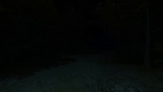 Passing Pineview Forest - пугает нас уточкой смотреть онлайн