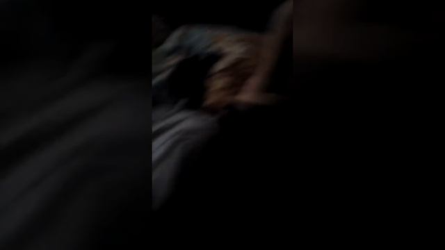 Утро с моей собакой смотреть онлайн