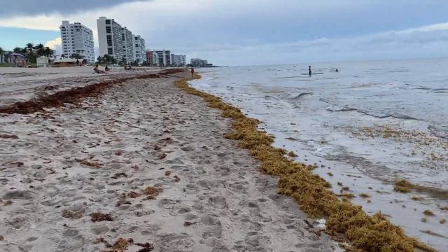 4K Deerfield Beach, Florida Beach Walk смотреть онлайн