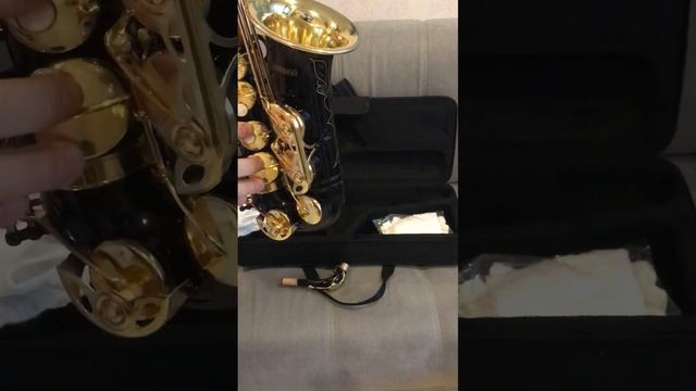 Новые саксофоны по низким ценам. +7 927 893 25 94. Отправка в регионы смотреть онлайн