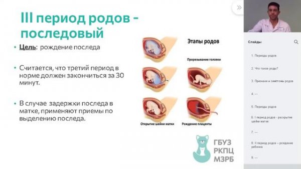 Роды . Периоды родов