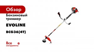 Бензиновый триммер Evoline BCG36(4T)
