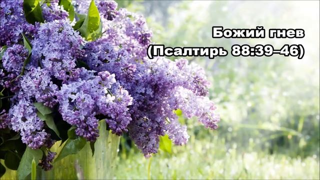 Тихое время с Живой Жизнью: Псалтирь 88:39–53 (31052018)