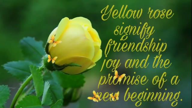 WhatsApp Status Video || Happy Rose day Wishes || Valentine's Day 2018 || Romantic Video смотреть онлайн