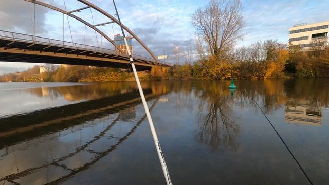 рыбалка на фидер с берега на реке неккар Германия 20,11,2022 смотреть онлайн