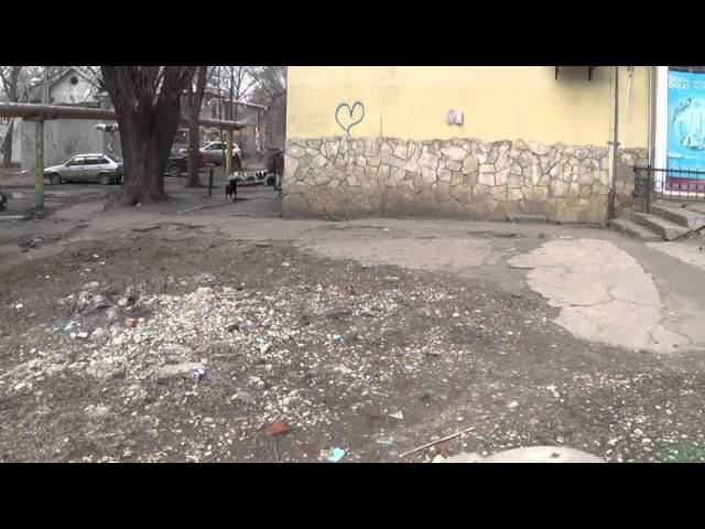 отпугиватель собак. смотреть онлайн