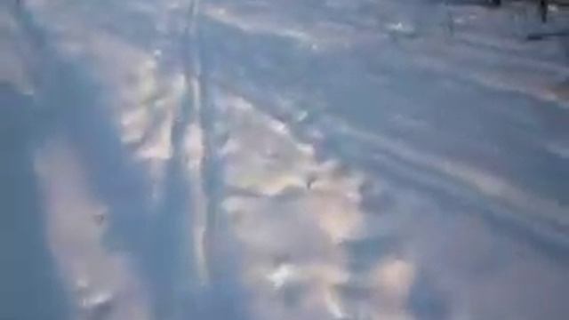 Горка лыжи снег лес смотреть онлайн
