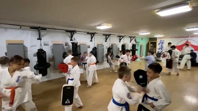 Тренировка старшей группы 14 сентября 2022 года. Киокусинкай каратэ в Климовске на Западной 12. смотреть онлайн