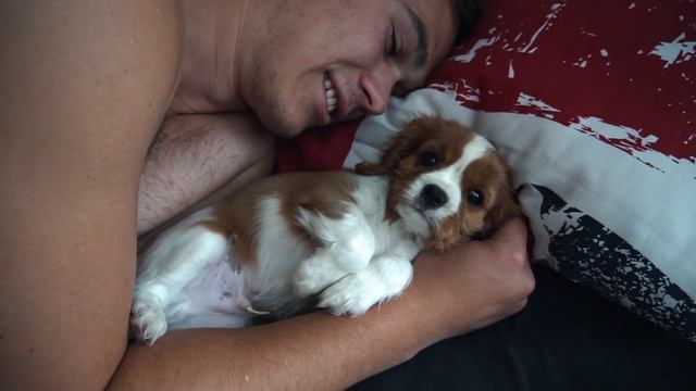 WE HAVE NEW PUPPY | His name is Charmander btw смотреть онлайн