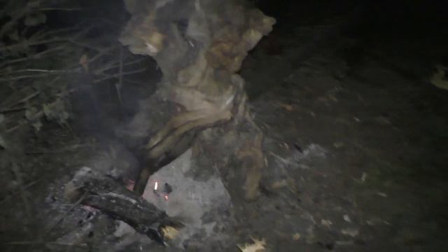 13часть НОЧЬ на ЗМЕЯХ Карлик ДРАКОН - ОДИН в ТАЙГЕ Пение ПТИЦ Уха ОКУНЬ КРАСНОПЕР ДЕВСТВЕННАЯ ТАЙГА смотреть онлайн