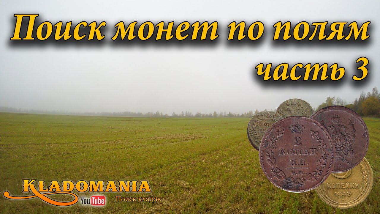 Поиск монет по полям часть 3. Поиск по старине. Полушка Анны Иоанновны смотреть онлайн