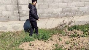 ч. 3. Как ловить ящерицу, как сделать ловушку для прытких ящериц, охота на ящериц