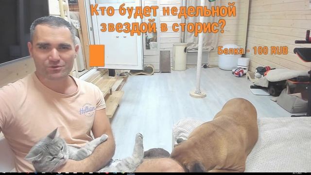 Наши любимые хвостики. смотреть онлайн