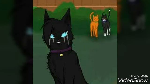 Коты воители Крошка Бич смотреть онлайн