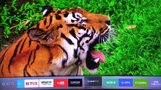 Samsung Series 6 UE49KU6510 49" Curved 4K UHD TV (with input lag testing) смотреть онлайн