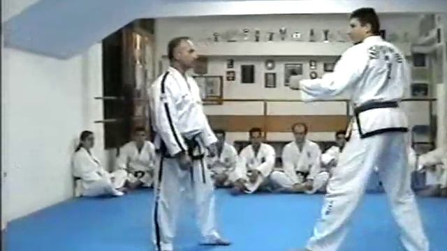 Taekwon-do ITF Self Defense