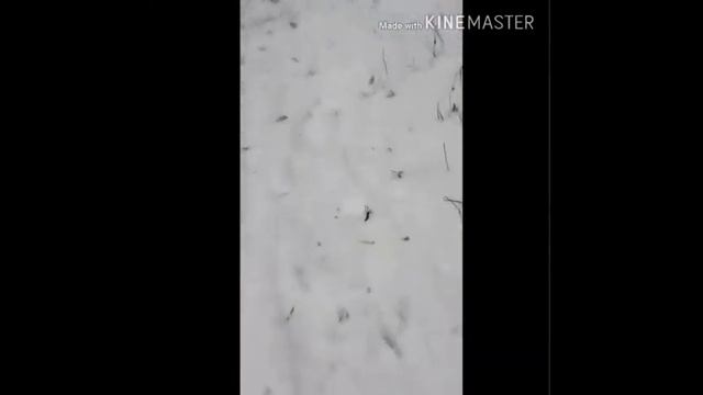 Жесткий тест jbl flip 4 смотреть онлайн