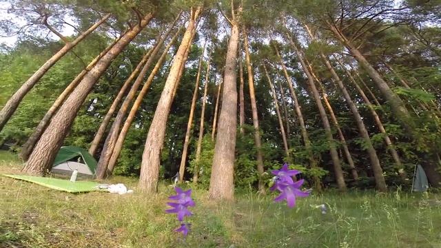 Поездка в деревню "Пятница" Истринское водохранилище смотреть онлайн