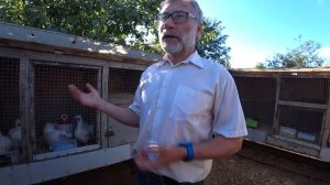 Бойцовые породы кур. О признаках и отличиях, селекции и генетике. А.Б. Вахрамеев.